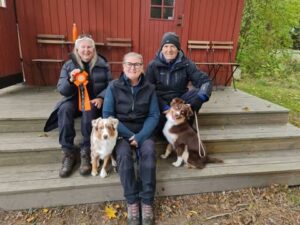 Två hundar med människor